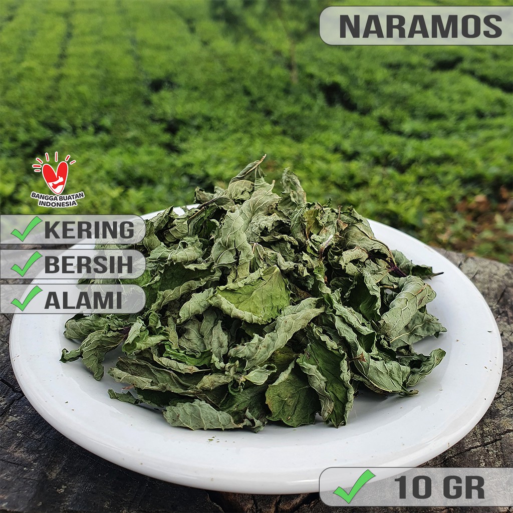 

Daun Mint Kering / Pure Peppermint (Daun Murni)