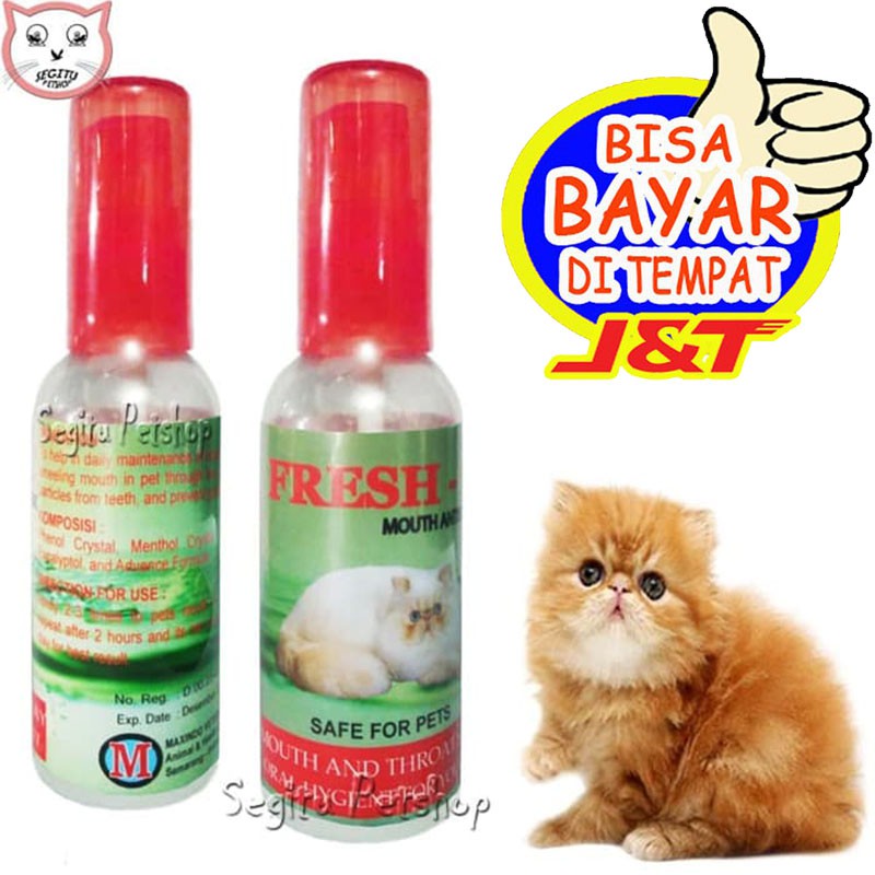 OBAT PENGHILANG BAU MULUT KUCING SARIAWAN ANAK KUCING KITTEN 60ML