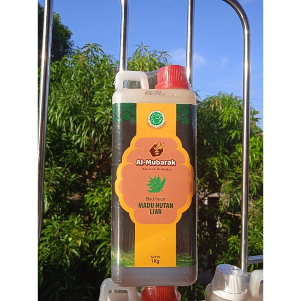 MADU HUTAN ASLI BERGARANSI AL-MUBARAK