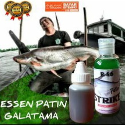 Essen R46 GALATAMA PATIN Essen ikan patin, Galapung, Galatama, harian