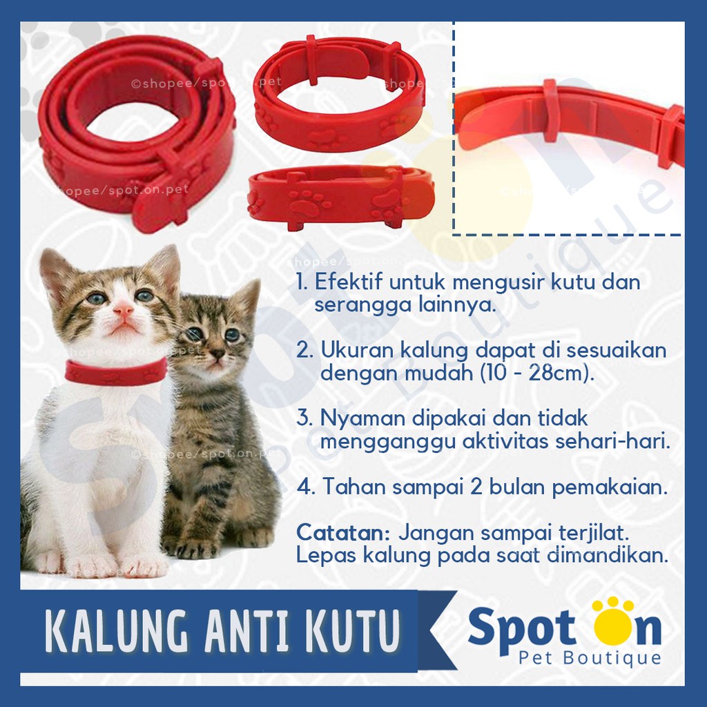 Kalung Anti Kutu Kucing | Kalung Kutu Untuk Kucing | Obat Kutu Kucing Bentuk Aksesoris Kalung Kucing