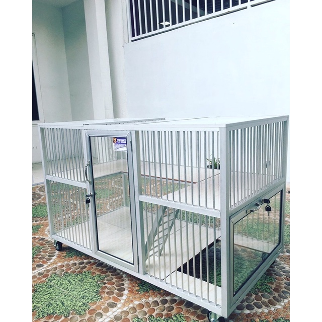 kandang kucing medan