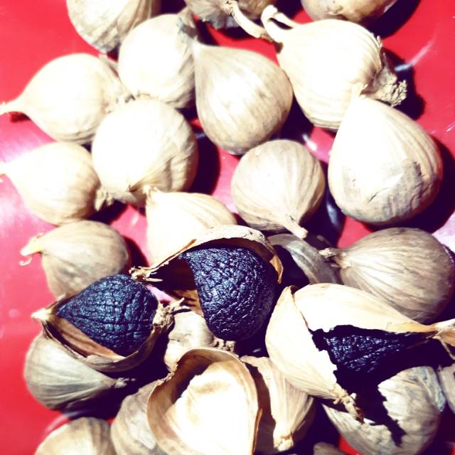 

Bawang tunggal /garlic untuk kesehatan aman dikomsumsi