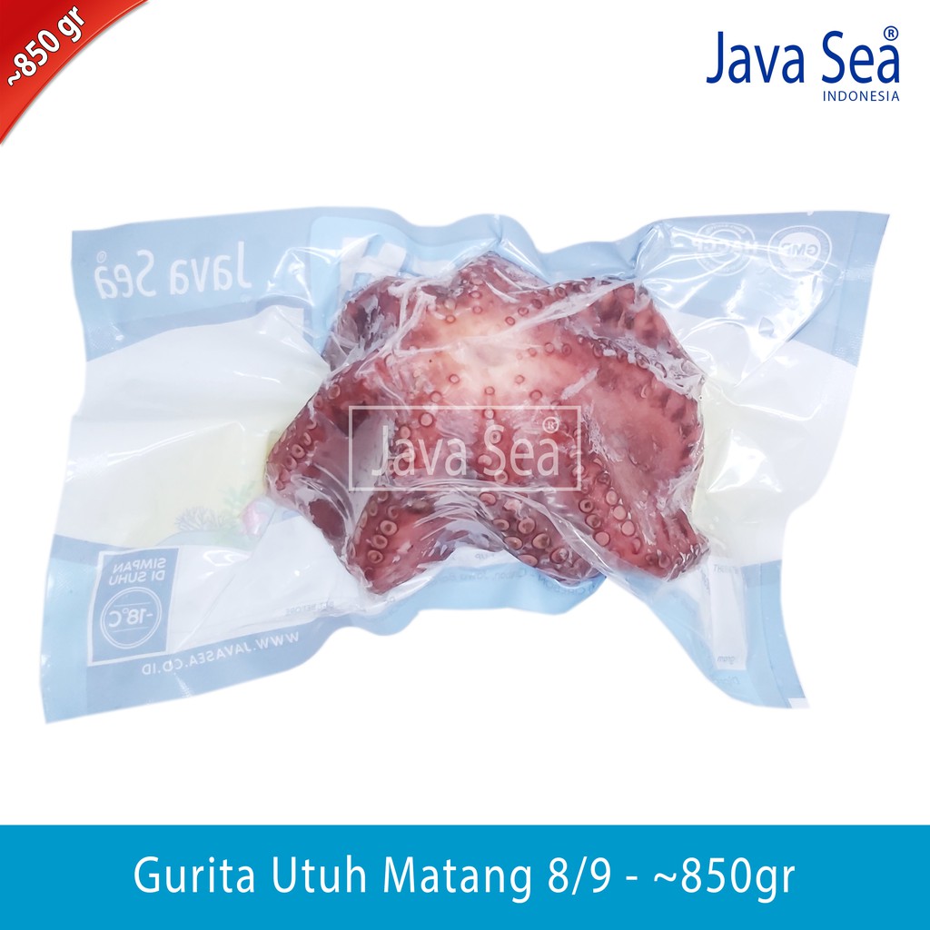 

Gurita Utuh sudah matang 8/9 pack 800-900gr Java Sea