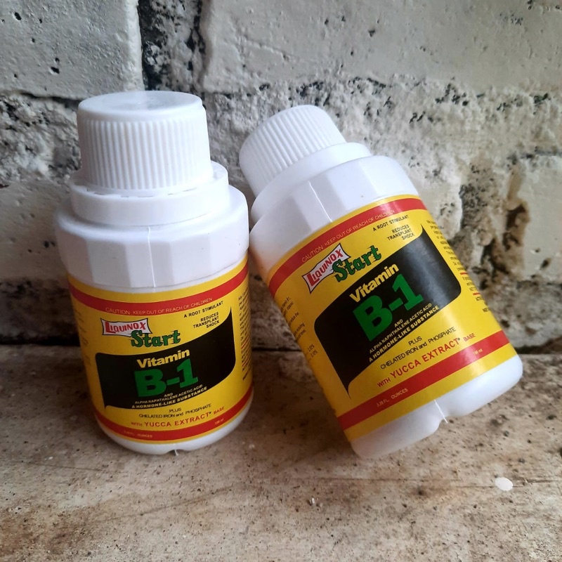 Vitamin B1 / Pupuk tanaman perangsang akar dan cairan anti stress untuk tanaman