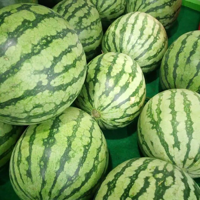 

Buah Semangka Kuning Non Biji (5-7kg/pcs)