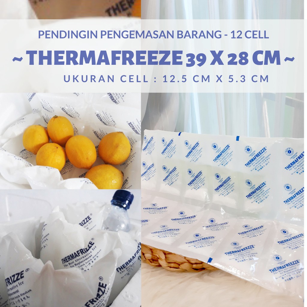 

PENDINGINAN DAGING AYAM/BELI THERMAFREEZE/TOKO PENDINGIN
