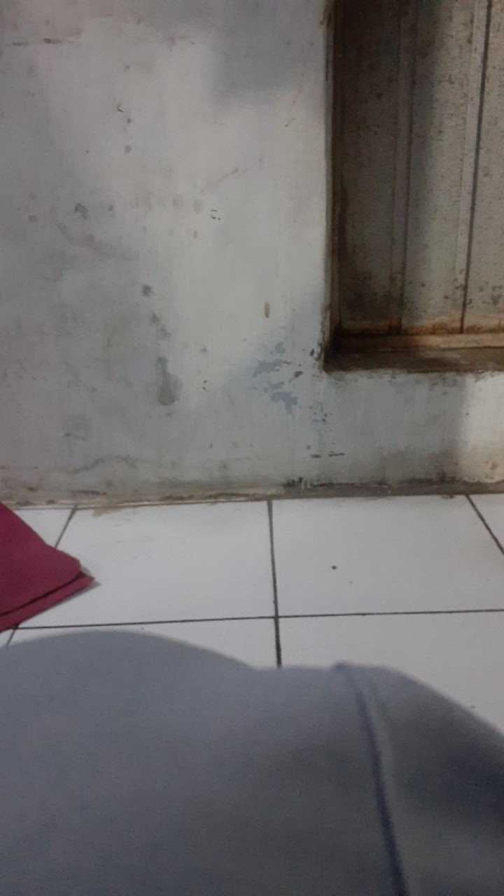 1 Kotak Cincin Konektor Terbuka Jump Ring Loop Untuk Membuat Perhiasan Diy