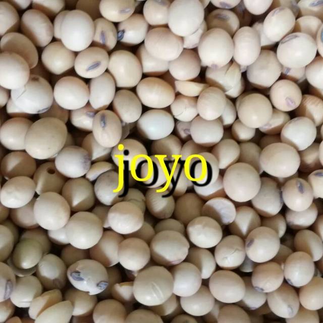 

Kacang Kedelai import amerika 1 kg