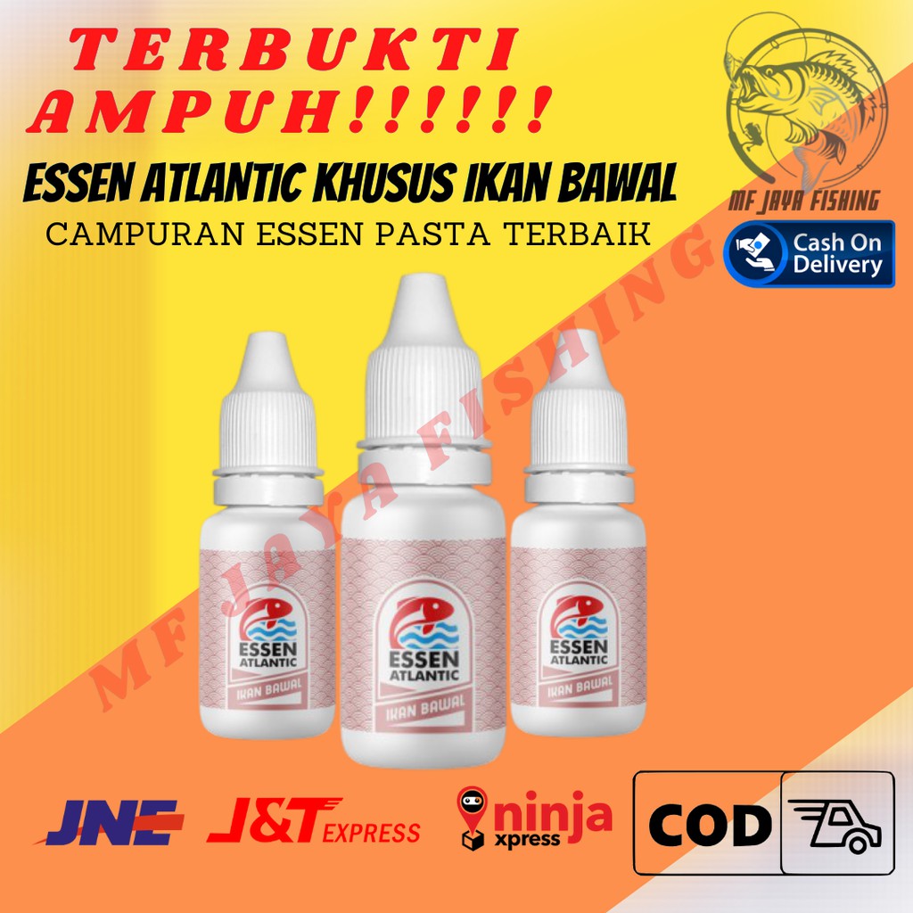 Essen Ikan Bawal Galatama Umpan Galatama Bawal Esen Atlantik Atlantic Ikan Bawal Esen Bawal Galatama