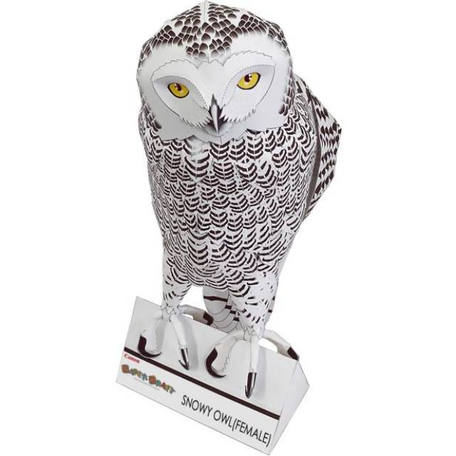 Snowy Owl (Female) papercraft