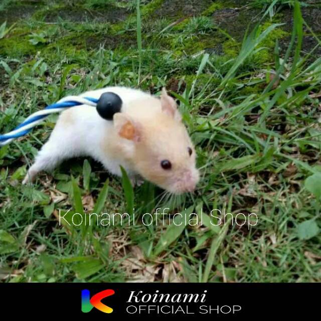 TALI KEPANG PENUNTUN HAMSTER EDOTH /  aksesoris / tali harness sugar glider hamster  / pet