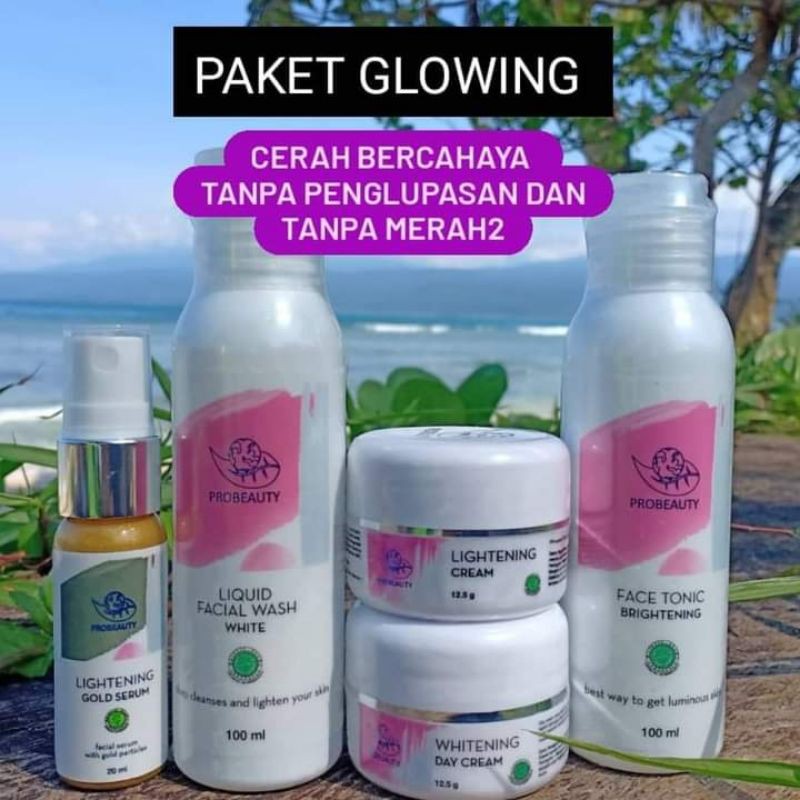 PAKET GLOWING PROBEAUTY