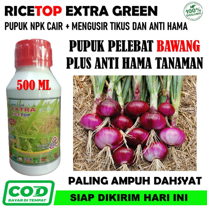 PROMO RICETOP Extra Green Obat Penyubur Bawang - Ricetop Pupuk NPK Cair Pelebat Bawang Merah Paling 