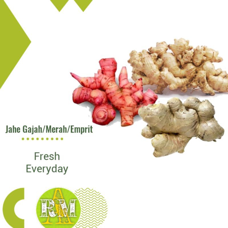

GINGER / JAHE GAJAH| MERAH| EMPRIT 250g