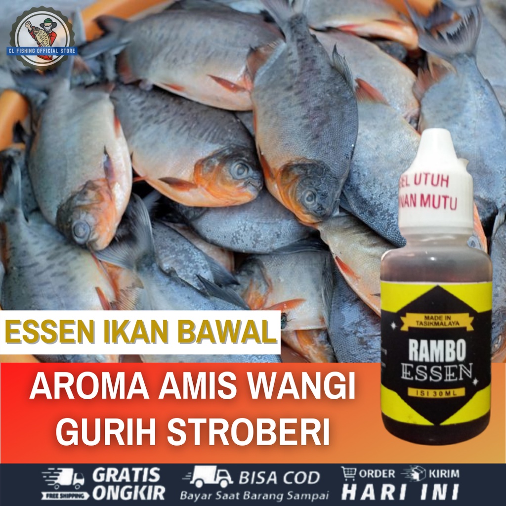 RAMBO ESSEN IKAN BAWAL BABON AROMA AMIS WANGI GURIH STROBERI - ESSEN OPLOSAN IKAN BAWAL - UMPAN PANC