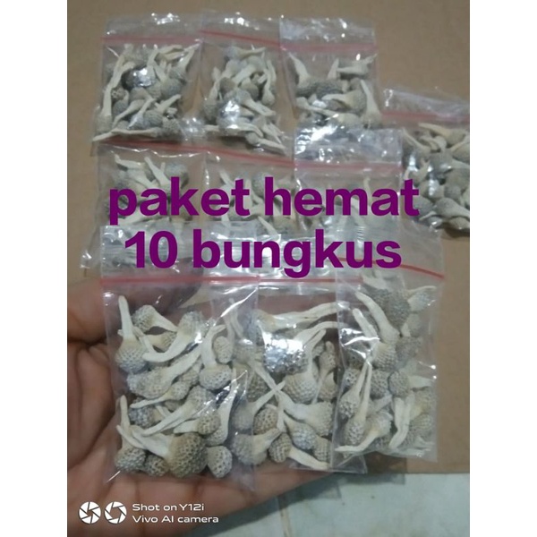 Termurah !! mpot putih paket hemat 10pcs