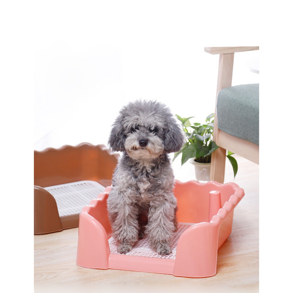 Toilet Pet Pee Tray Anjing