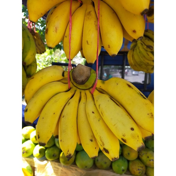 

Pisang Raja Cere & Pisang ambon lembang