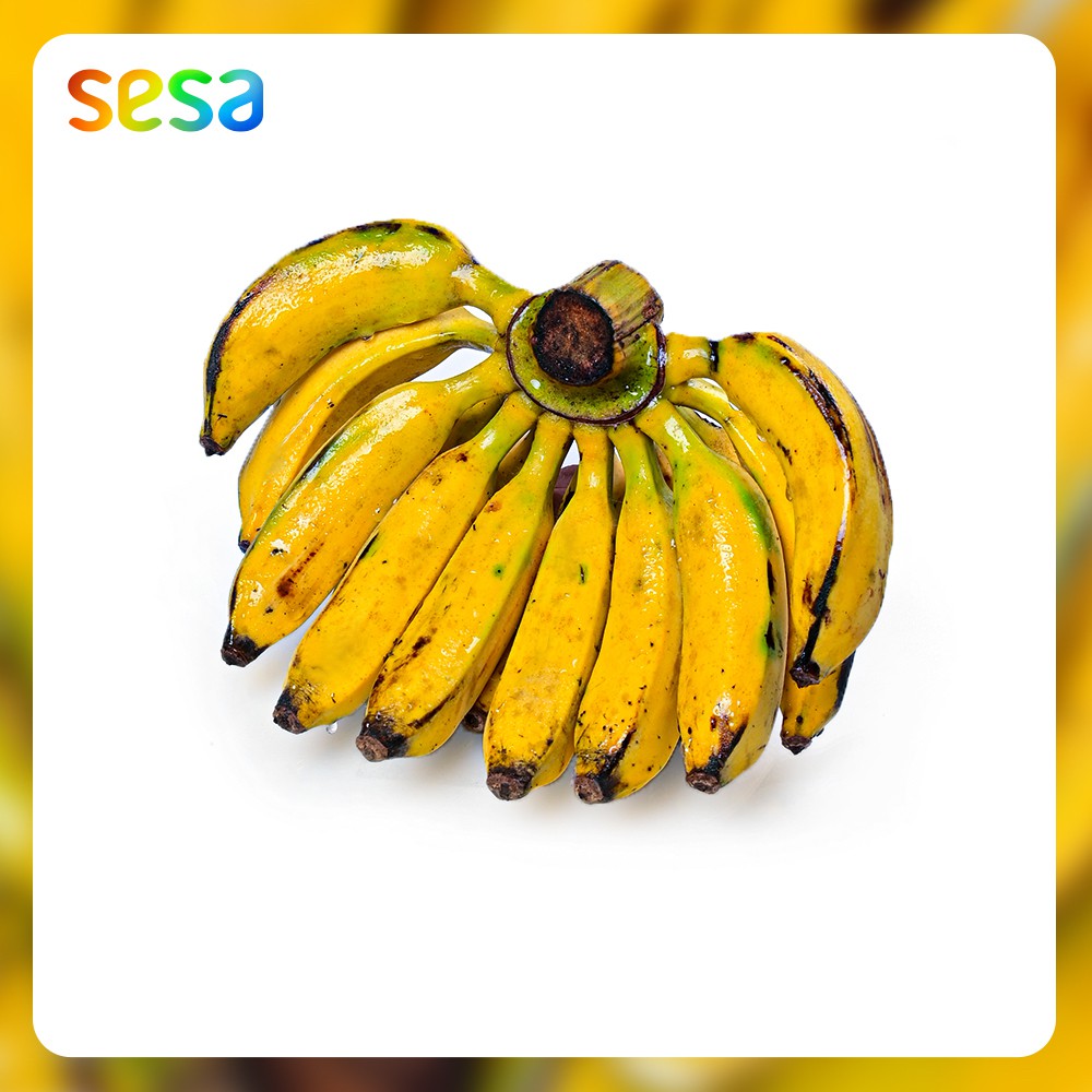 

PISANG Barangan/Sisir - Buah Fresh Sehat