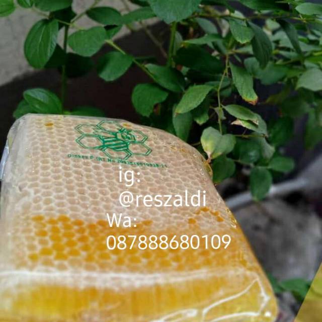 

Madu sarang murni dinkes 500g