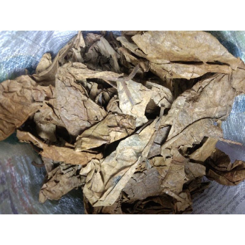 

Daun Ketapang Olahan Siap Pakai