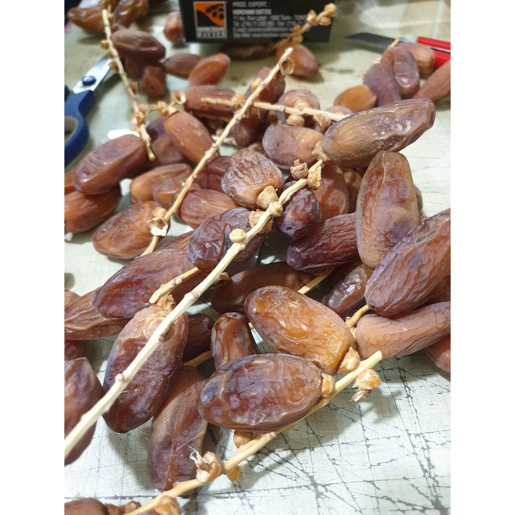 kurma tunisia DATES 500gr/kurma tangkai/kurma palm fruit KEMASAN DUS(Exp 2026)