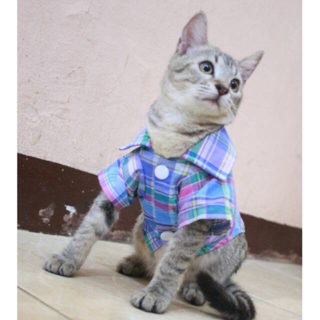 Baju kemeja kotak-kotak biru lucu untuk kucing dan anjing / baju kucing murah size S M L XL