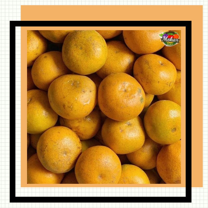 

Jeruk Medan manis segar/Jeruk Medan super fresh