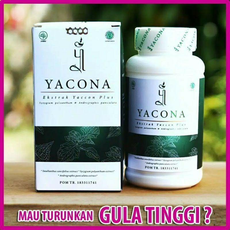 YACONA EKSTRAK YAKON PLUS YACONA Obat Herbal Diabetes Gula Darah Kencing Manis