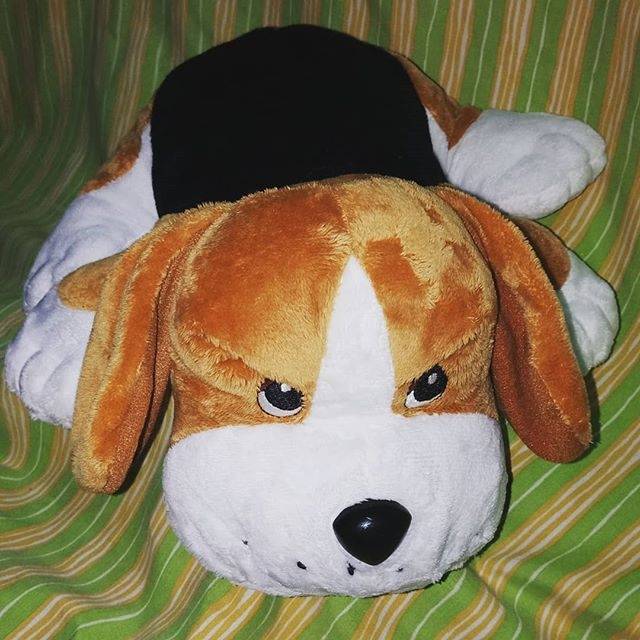 Anjing Beagle 2
