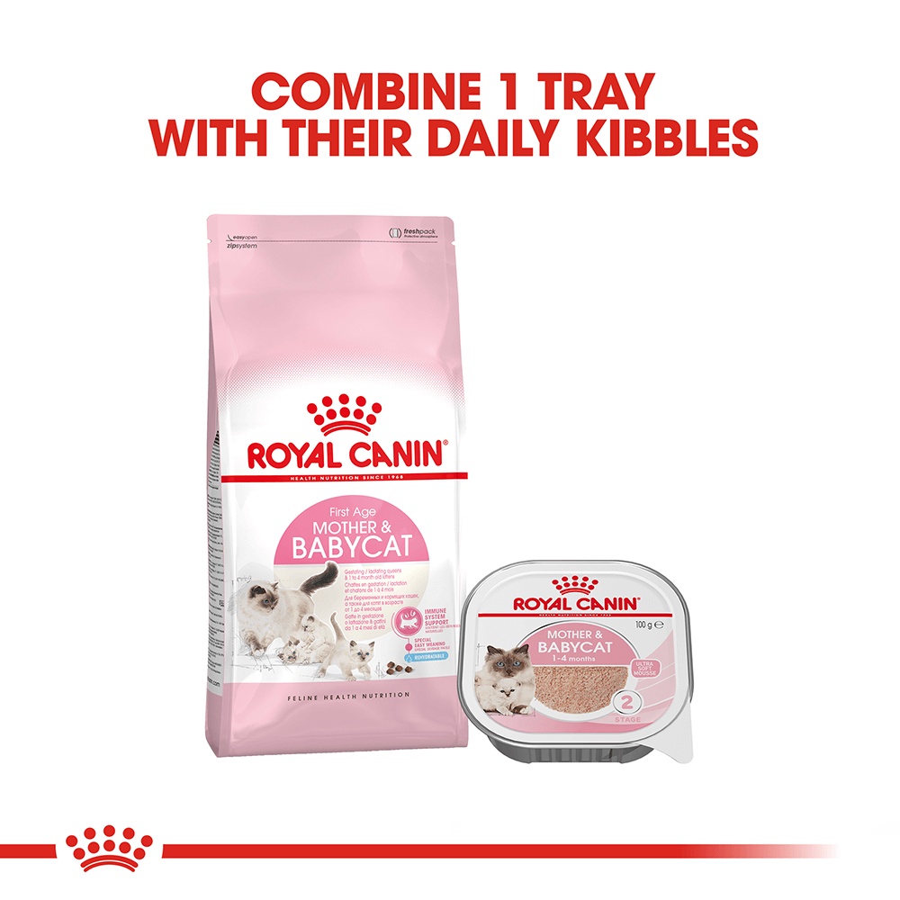 ROYAL CANIN Mother And Baby Stage 2 Wet Cat Food TRAYS / Makanan Basah Kucing