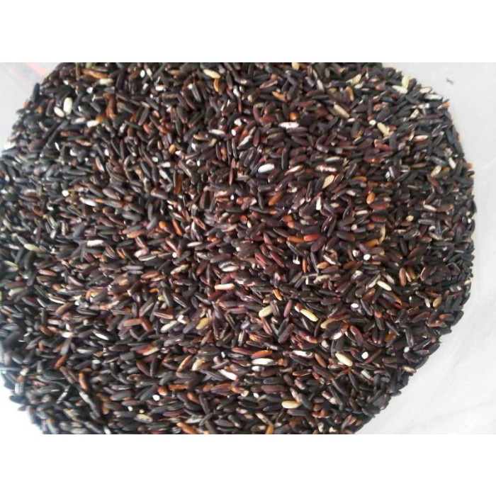 

gr20111r Beras Hitam Permium Mlatiharjo Sv012Ss