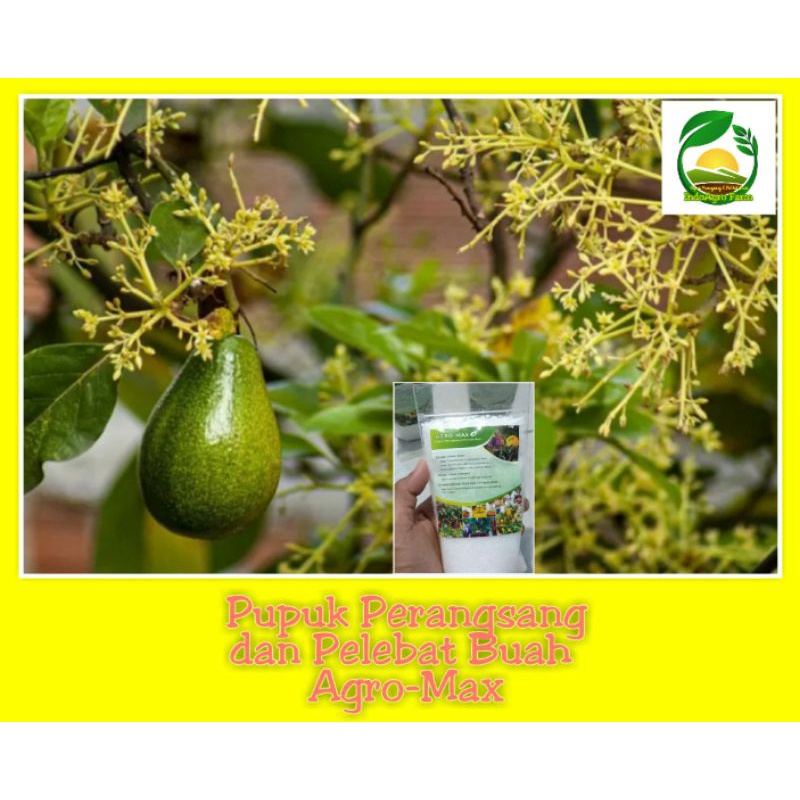 Pupuk Agro,Pupuk Pelebat Buah AGRO-MAX,Pupuk untuk mempercepat pembungaan tanaman buah dan mencegah 
