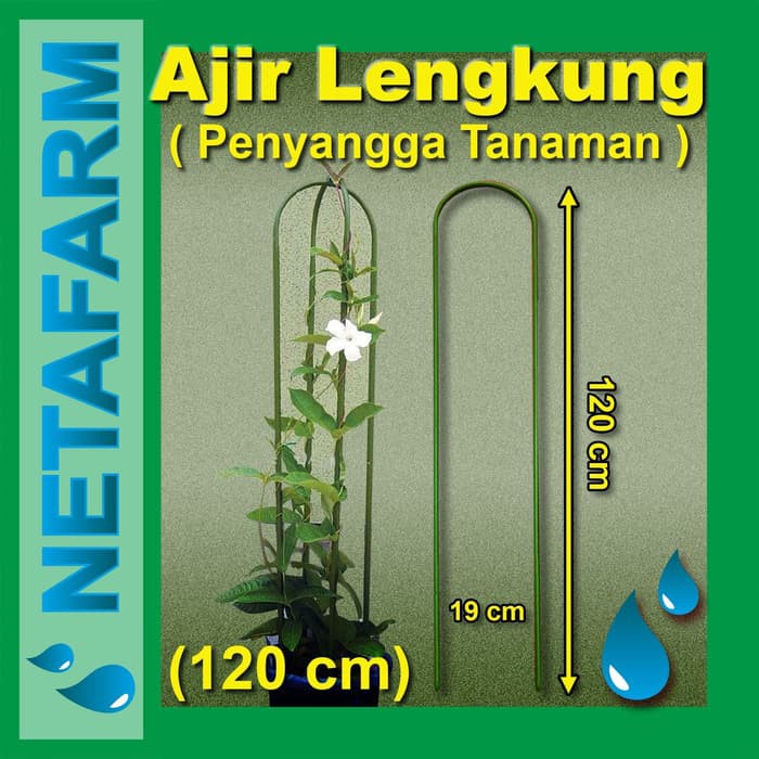 AJIR LENGKUNG - Tinggi 120 cm ( Penyangga Tanaman )