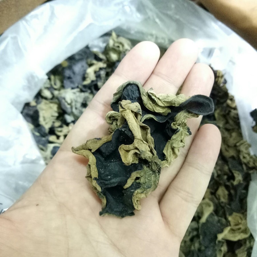 

JAMUR KUPING HITAM PUTIH KERING 100GR SUPER IMPORT / HEI BAI MU ER / DRIED WOOD EAR MUSHROOM / WHITE BACK BLACK