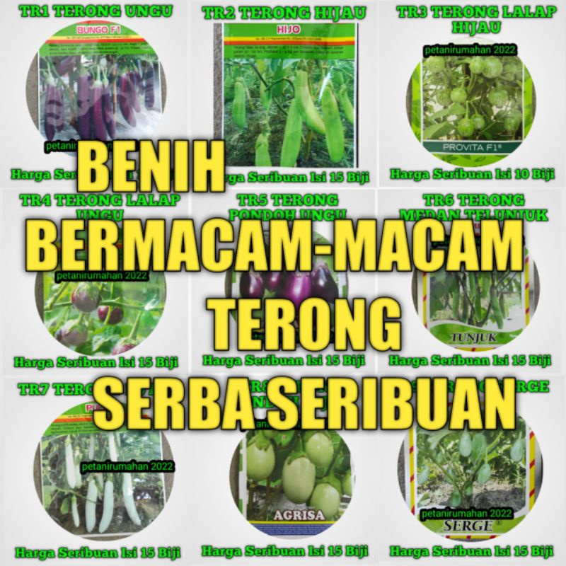 Jual Biji Bibit Jual Beli Benih Seribuan Terong Ungu Hijau Putih Lalap