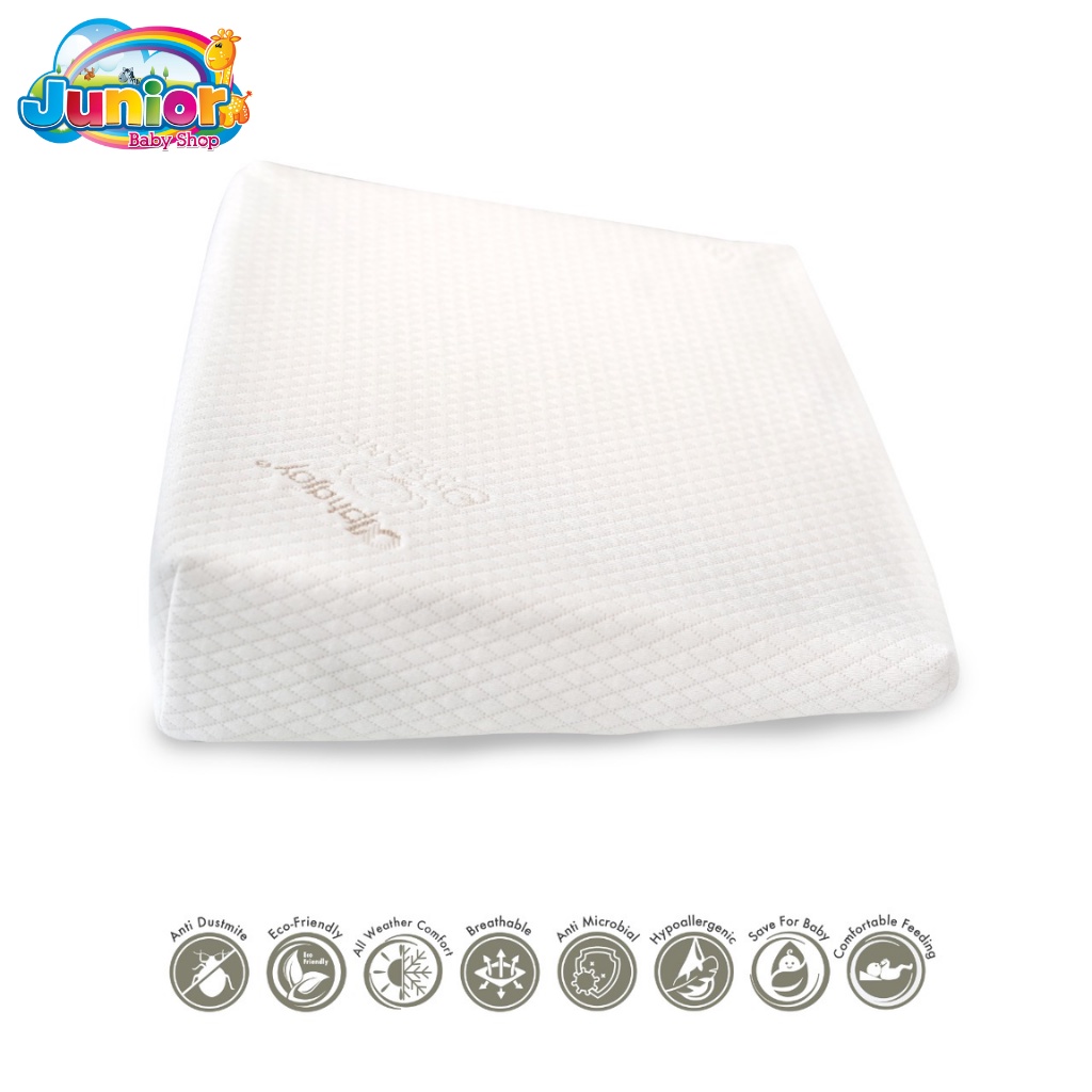 Alphajoy Slope Baby Wedge Organic Cotton Latex Pillow