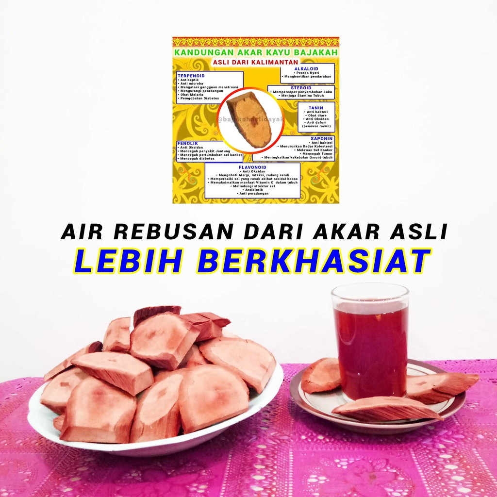 Manfaat Bajakah Untuk Jantung