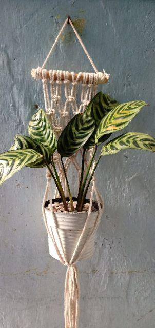 Macrame Gantungan Pot Tali Katun Kode: Ganpot-cr-008