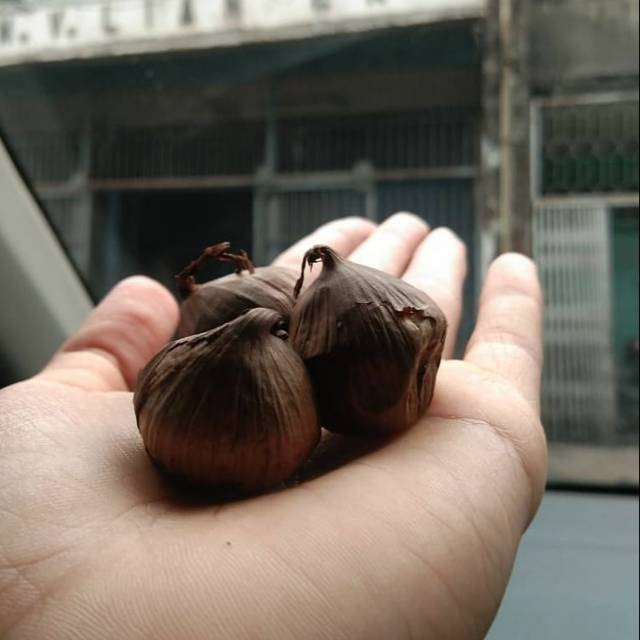 

BAWANG HITAM / BAWANG TUNGGAL HITAM / BLACK GARLIC