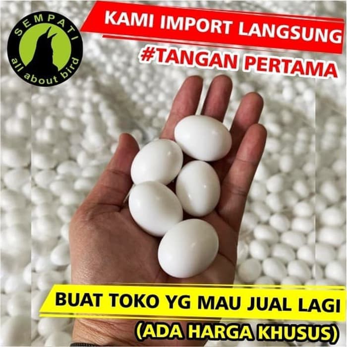 TELUR PALSU MAINAN BURUNG MERPATI