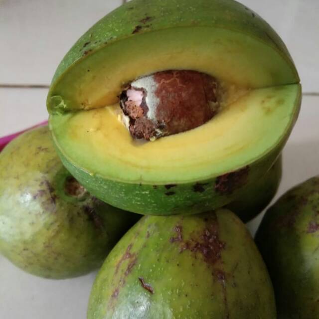 

Alpukat mentega