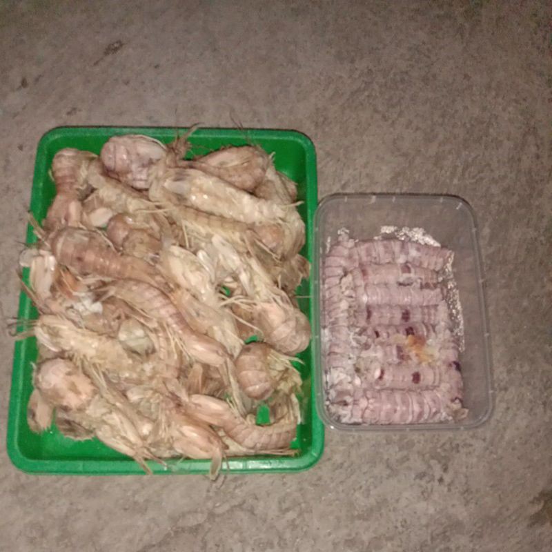 

BEBY CAKREK