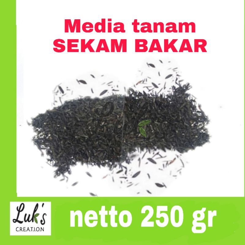 Sekam bakar arang bakar media tanam sekam bakar