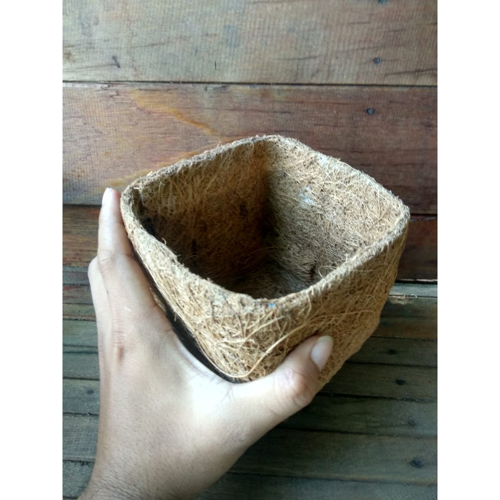 Pot Gantung Sabut Kelapa Dendrobium, vanda, anggrek bulan