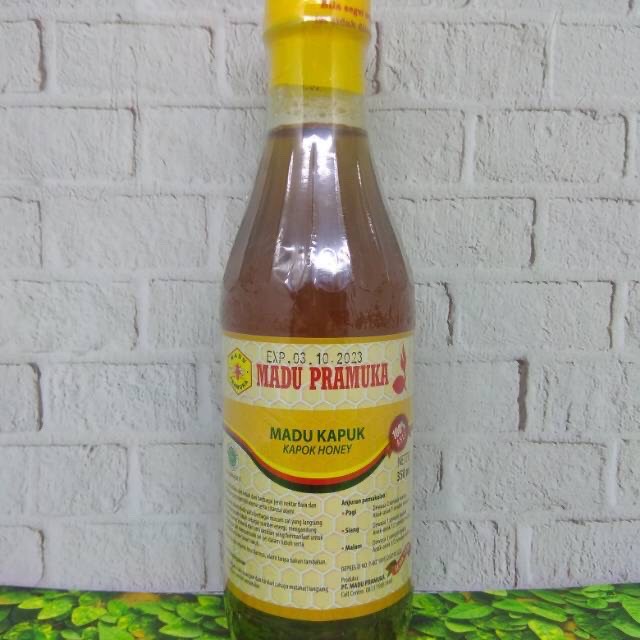 

Madu kapuk 350ml dari madu pramuka