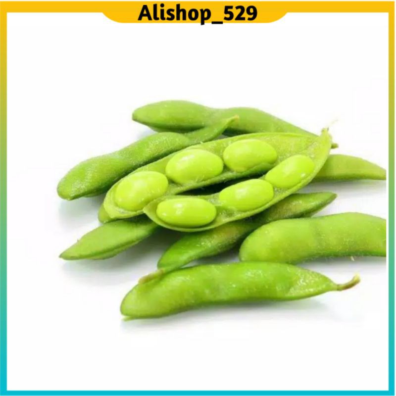 

KEDELAI EDAMAME PREMIUM (500 Gram)/ EDAMAME PREMIUM/KEDELAI JEPANG/KEDELAI FRESH/MAKANAN BUAT DIET