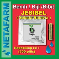 Benih / Biji / Bibit BEJO JESIBEL Selada Batavia 100pills
