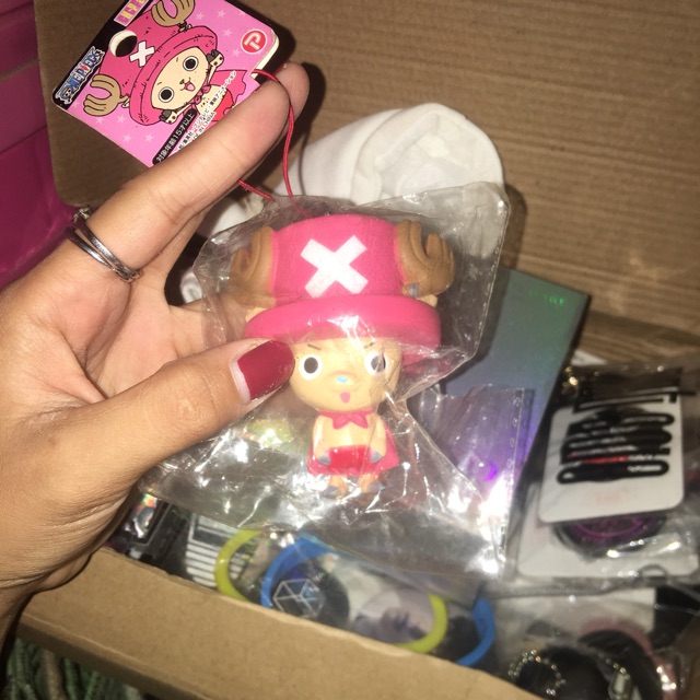 RARE- Chopper one piece squishy